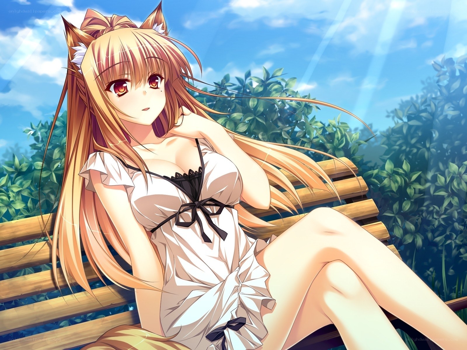 cat-eared girl on bench