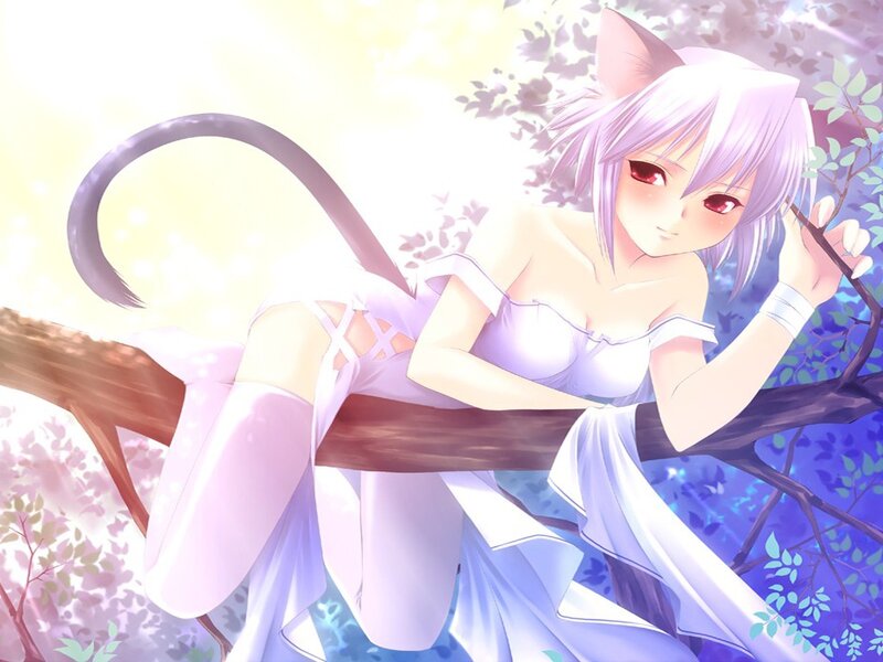 Cat-eared Girl on Branch