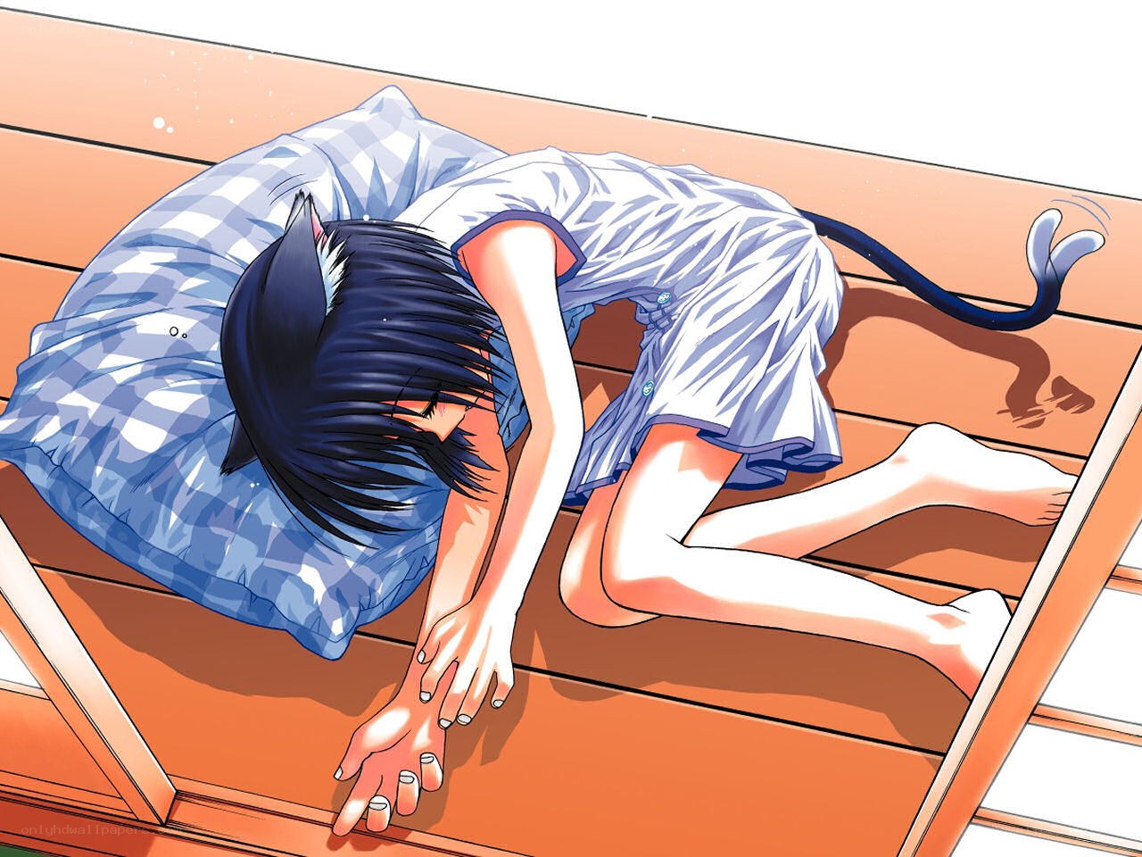 cat-eared girl sleeping