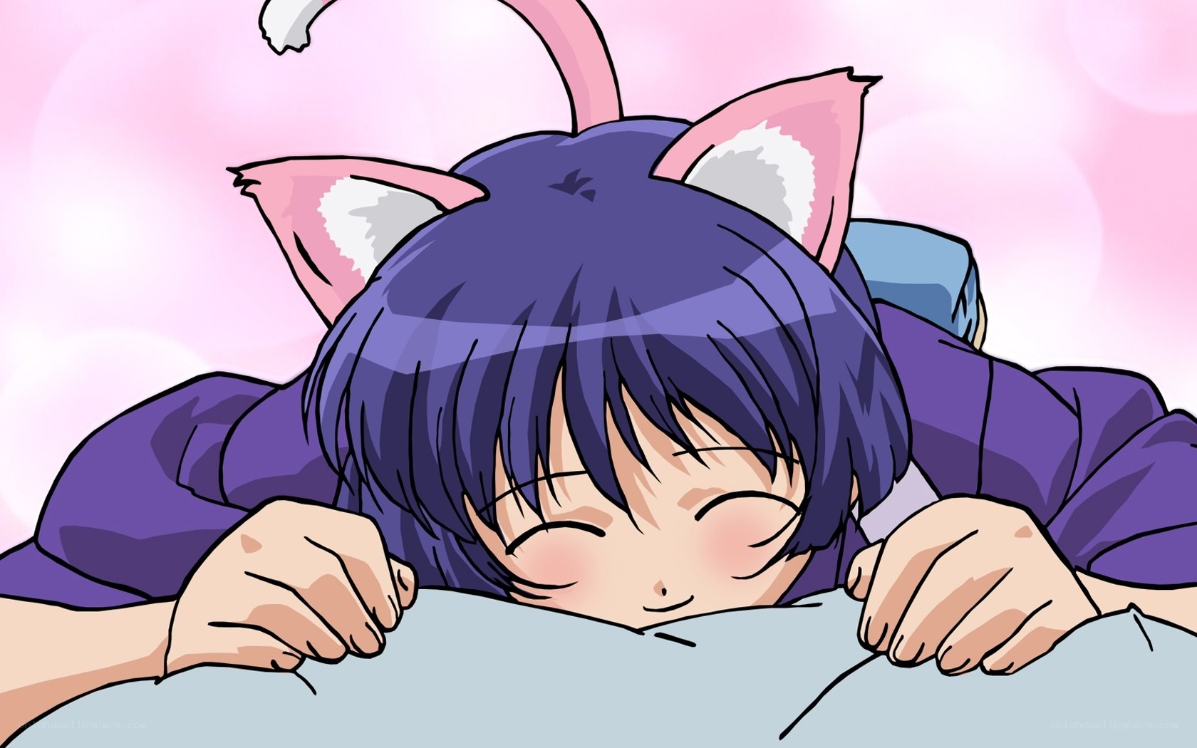 cat-eared girl sleeping