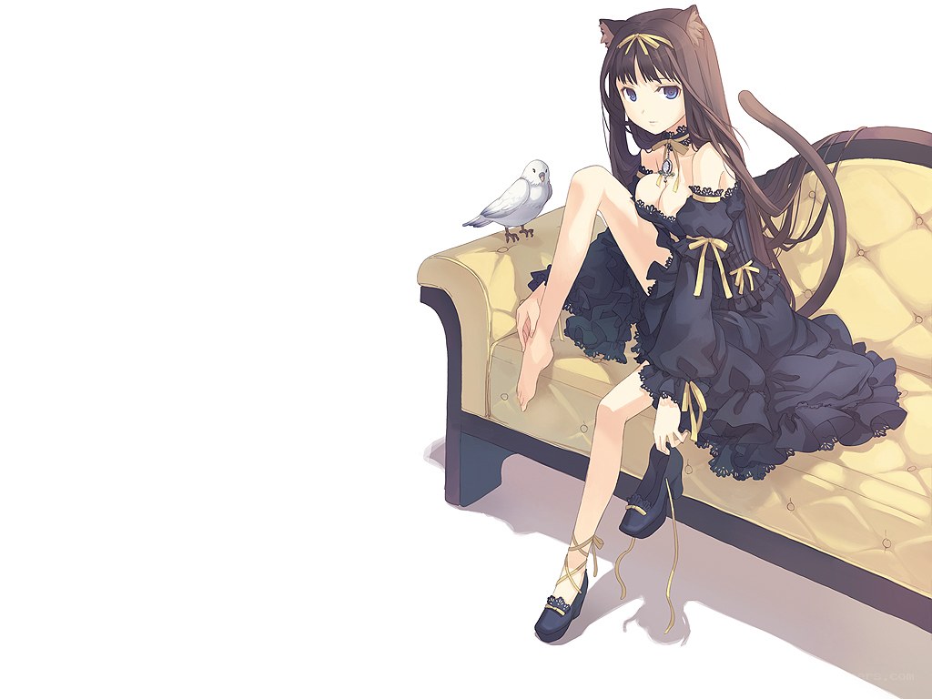 cat-eared girl with bird