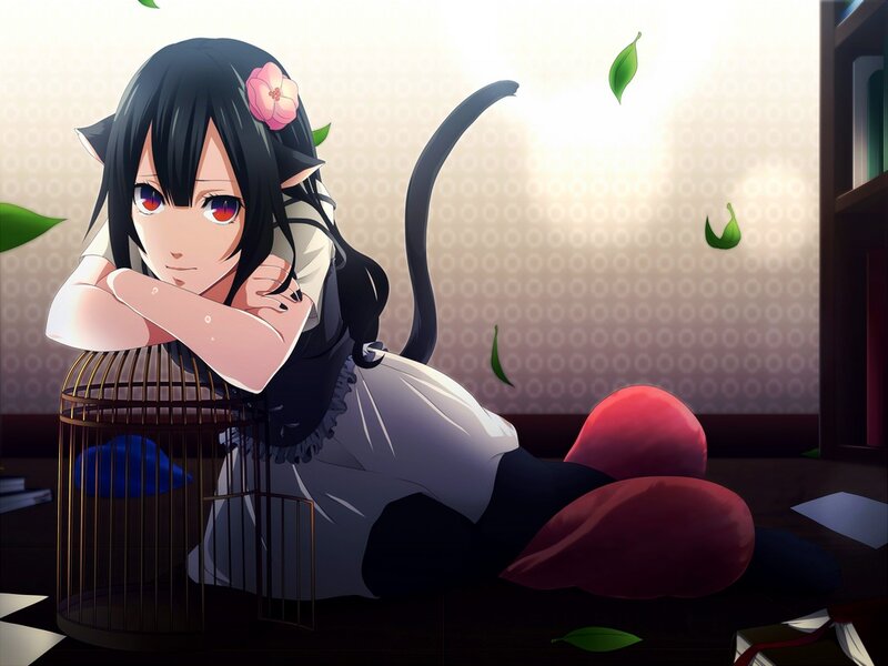Cat-eared Girl with Birdcage