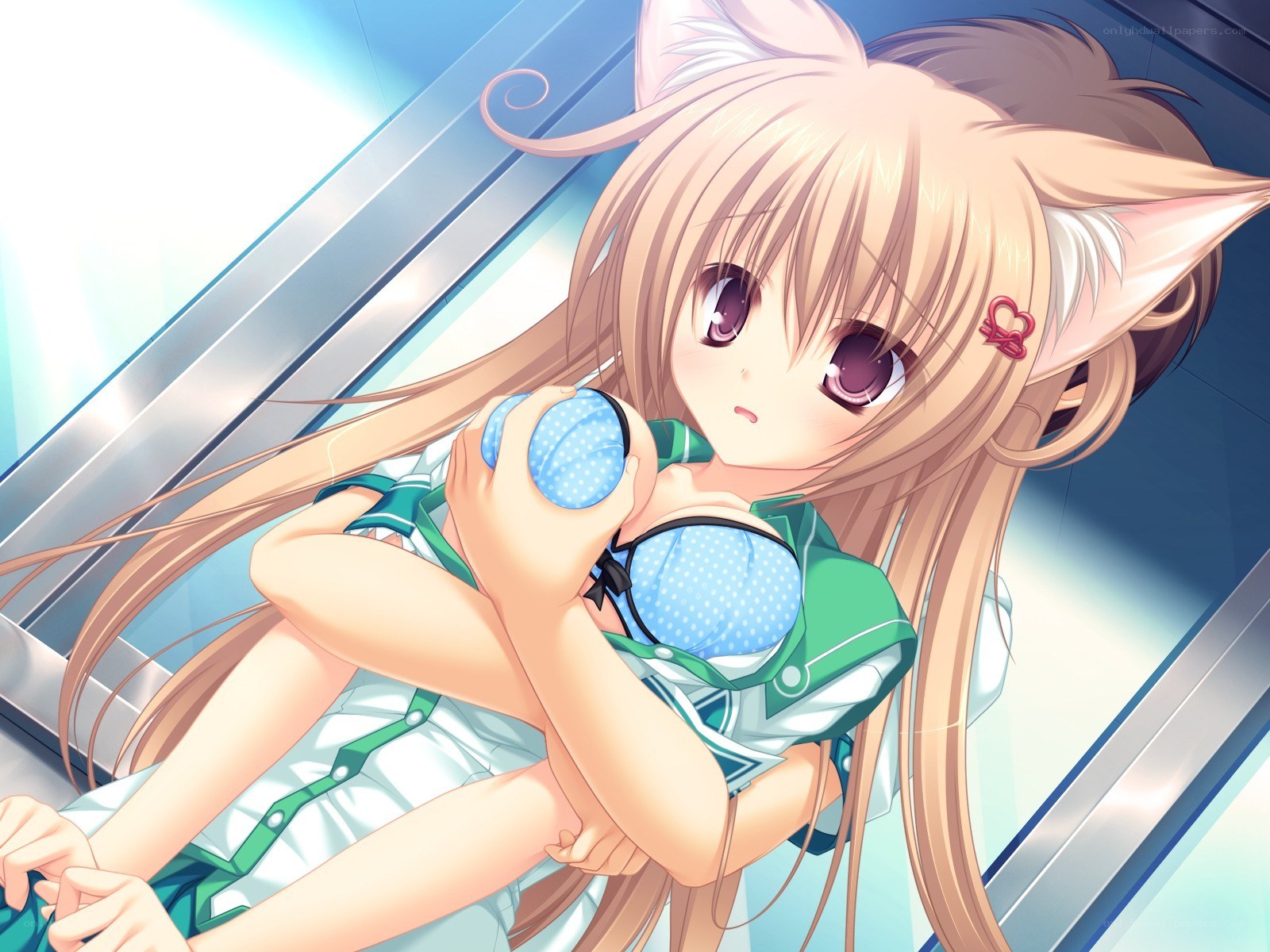 cat-eared girl with blue balls