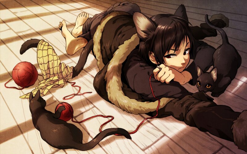 cat-eared girl with cats
