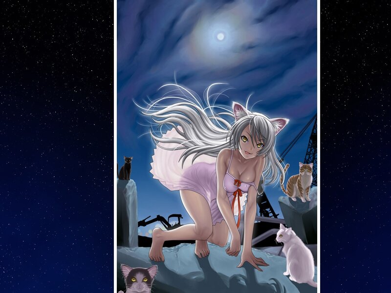 cat-eared girl with cats at night