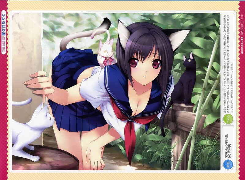 Cat-eared Girl with Cats — Blue, Calm, Afternoon, Anime, School Uniform