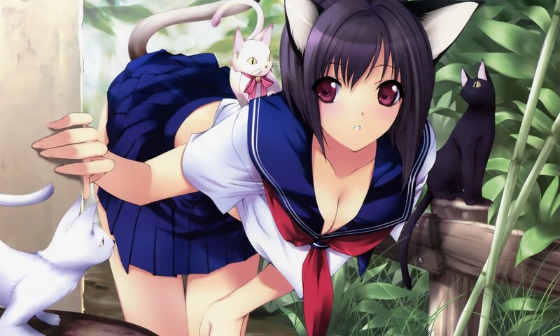 Cat-eared Girl with Cats — Blue, Calm