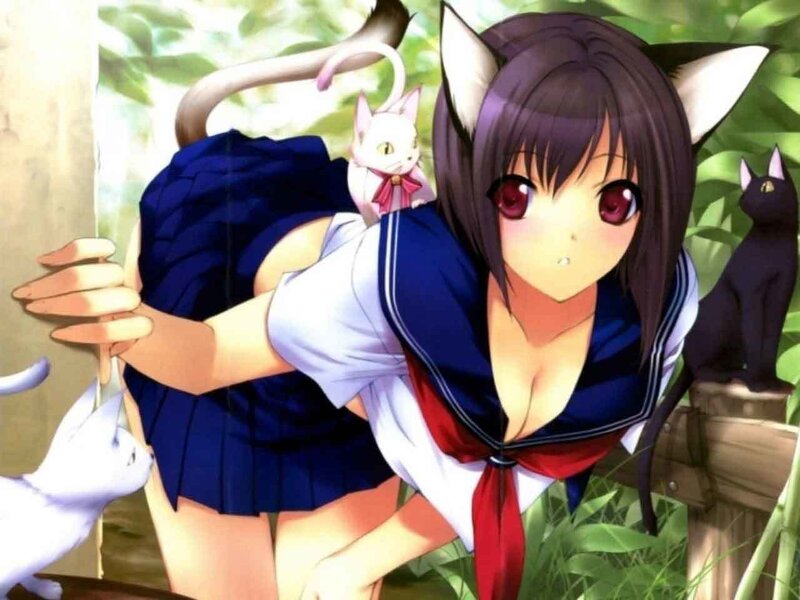 Cat-eared Girl with Cats — Blue
