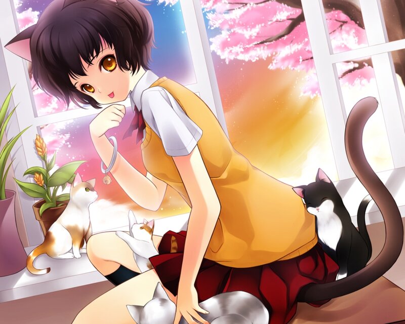 Cat-eared Girl with Cats — Yellow