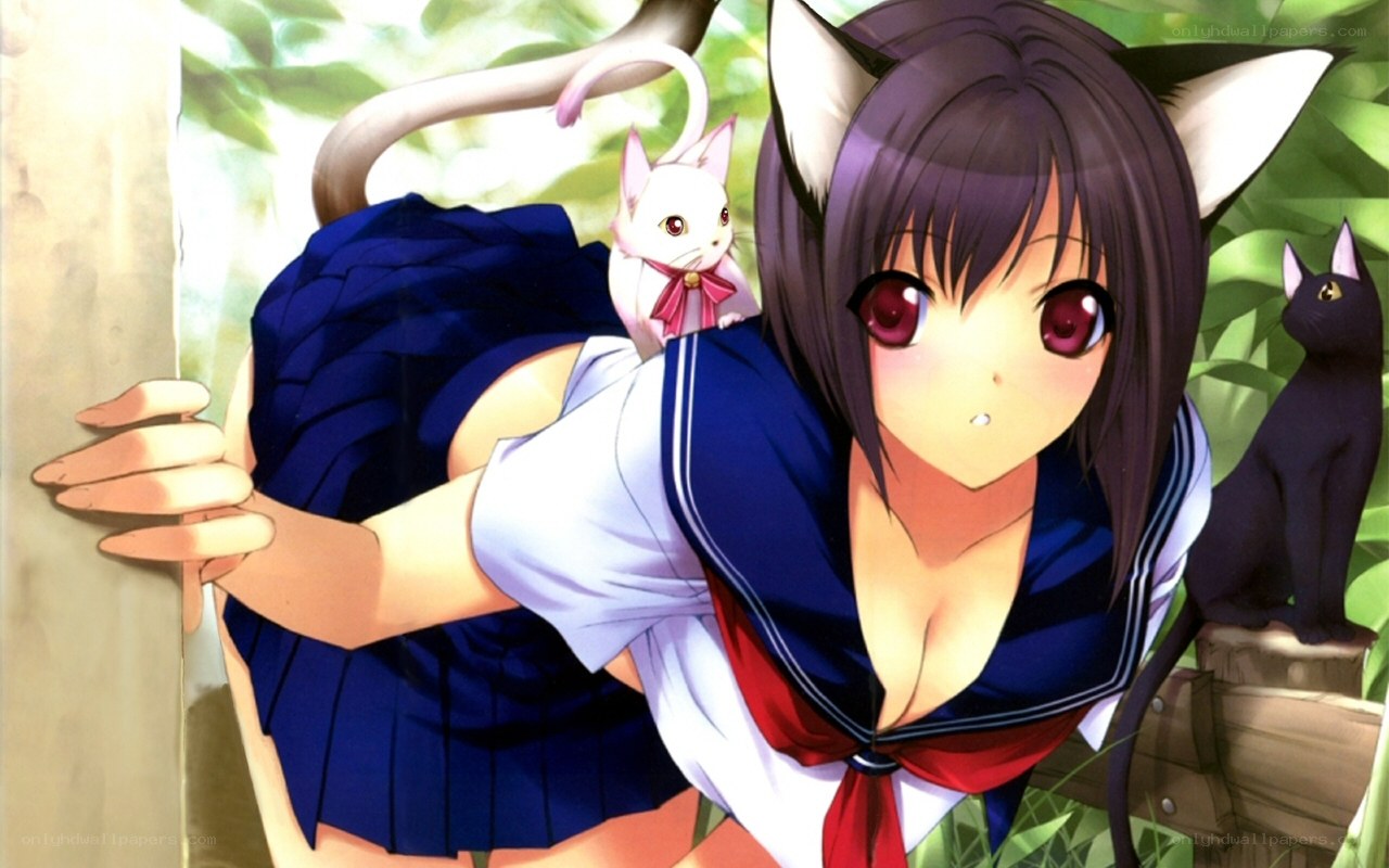 cat-eared girl with kittens