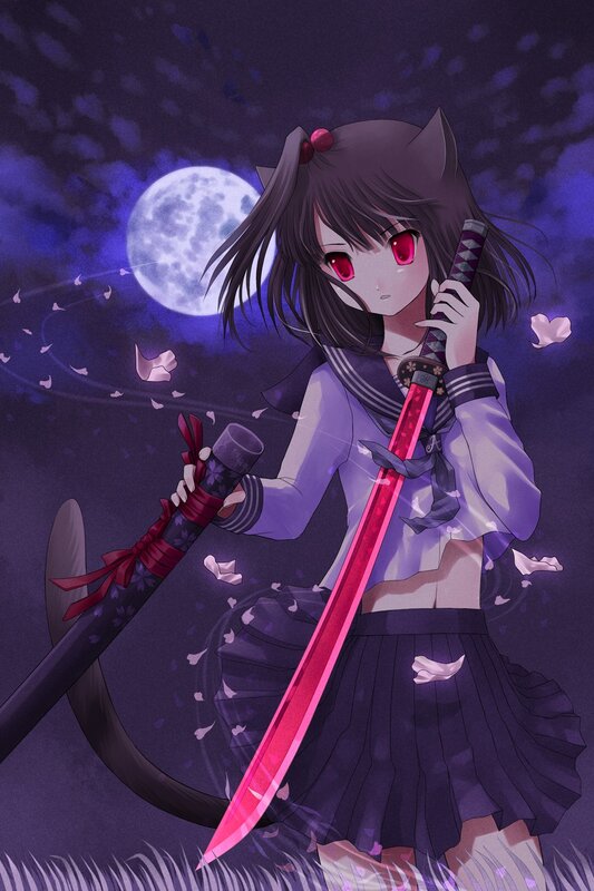 cat-eared girl with swords