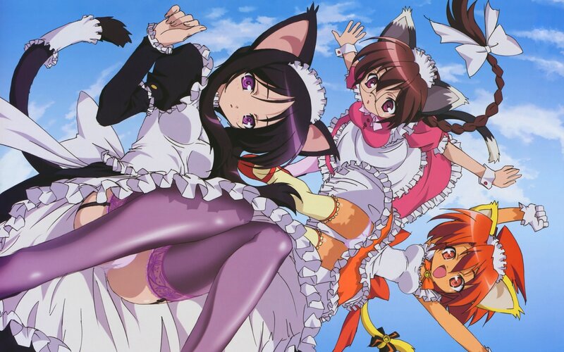 cat-eared girls in maid outfits
