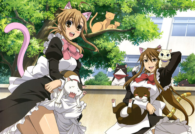 cat-eared girls with cats