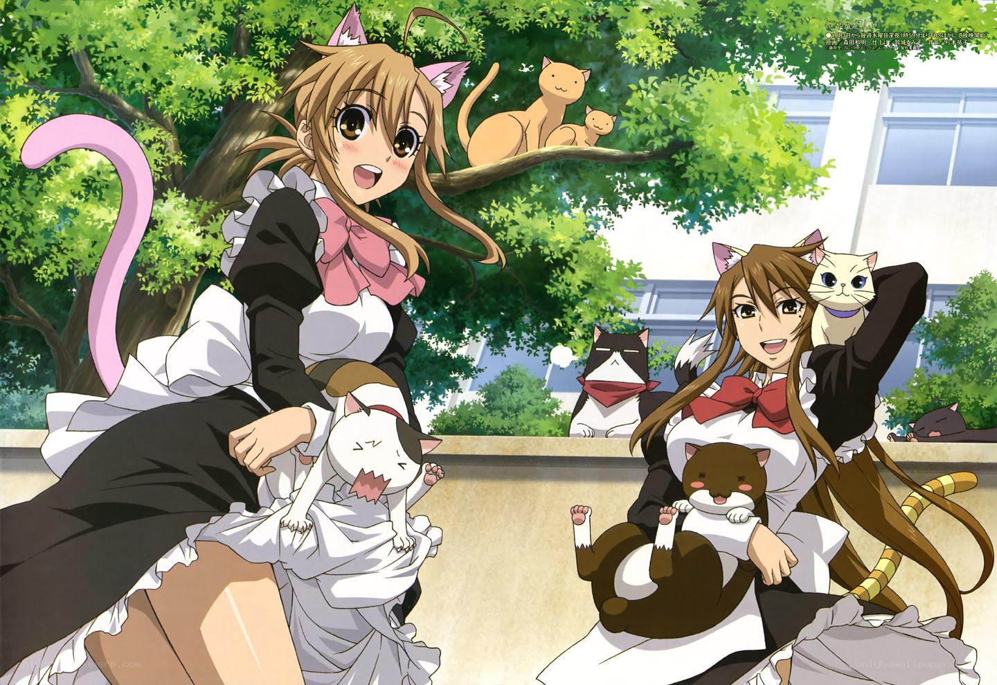 cat-eared girls with cats