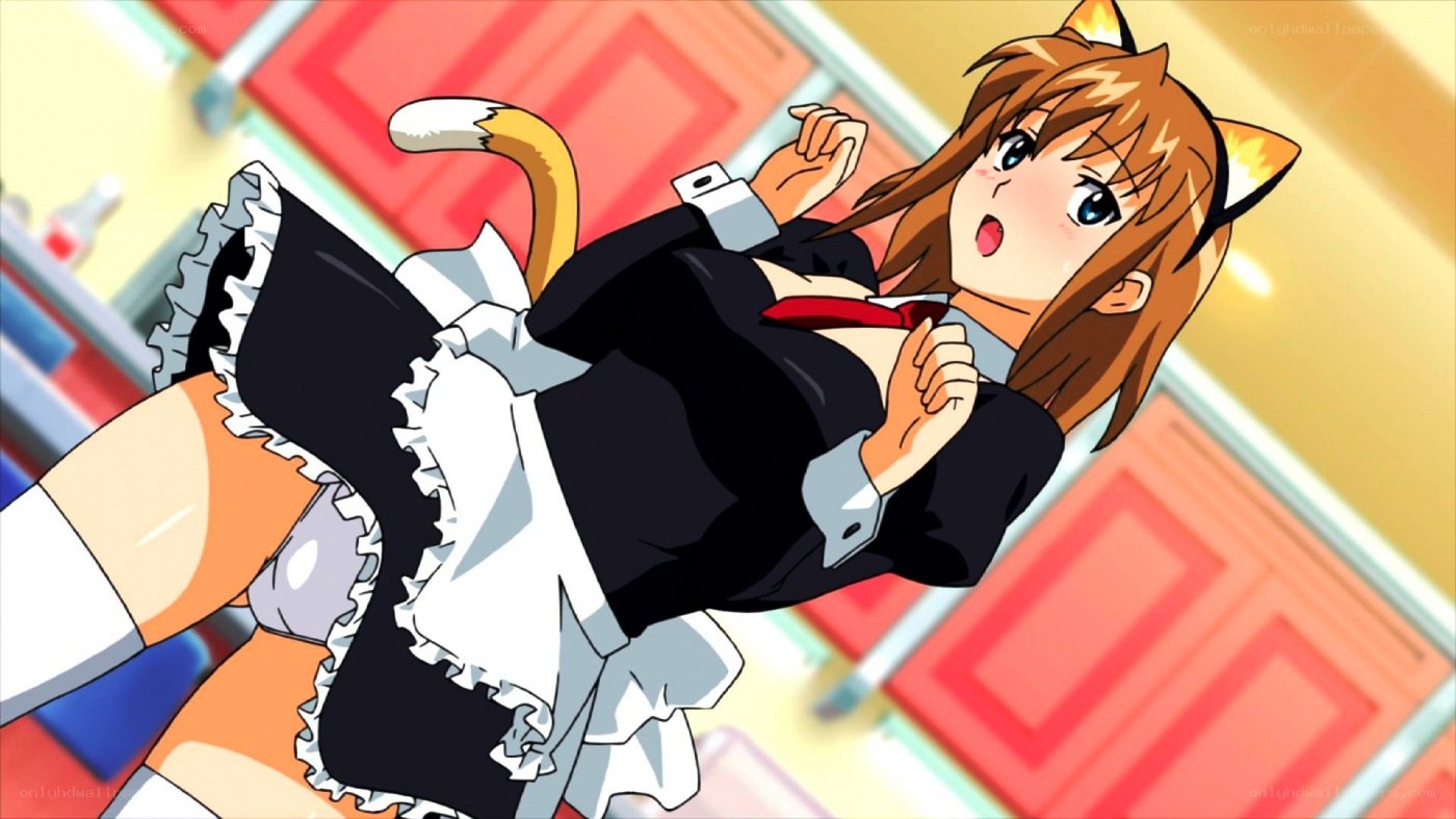 cat-eared maid in action