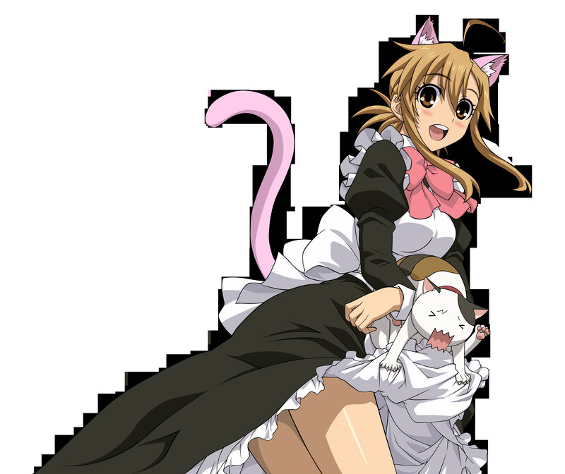cat-eared maid with cat