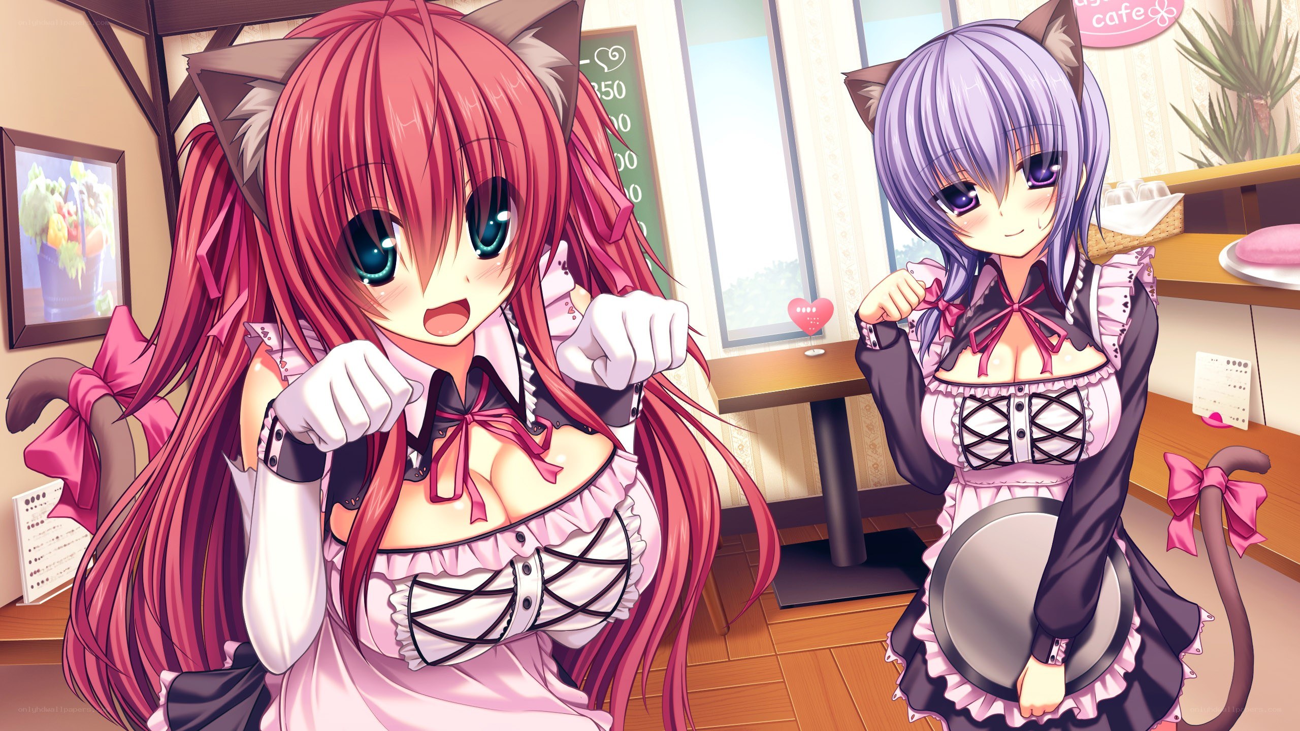 Cat-eared maids in a cafe