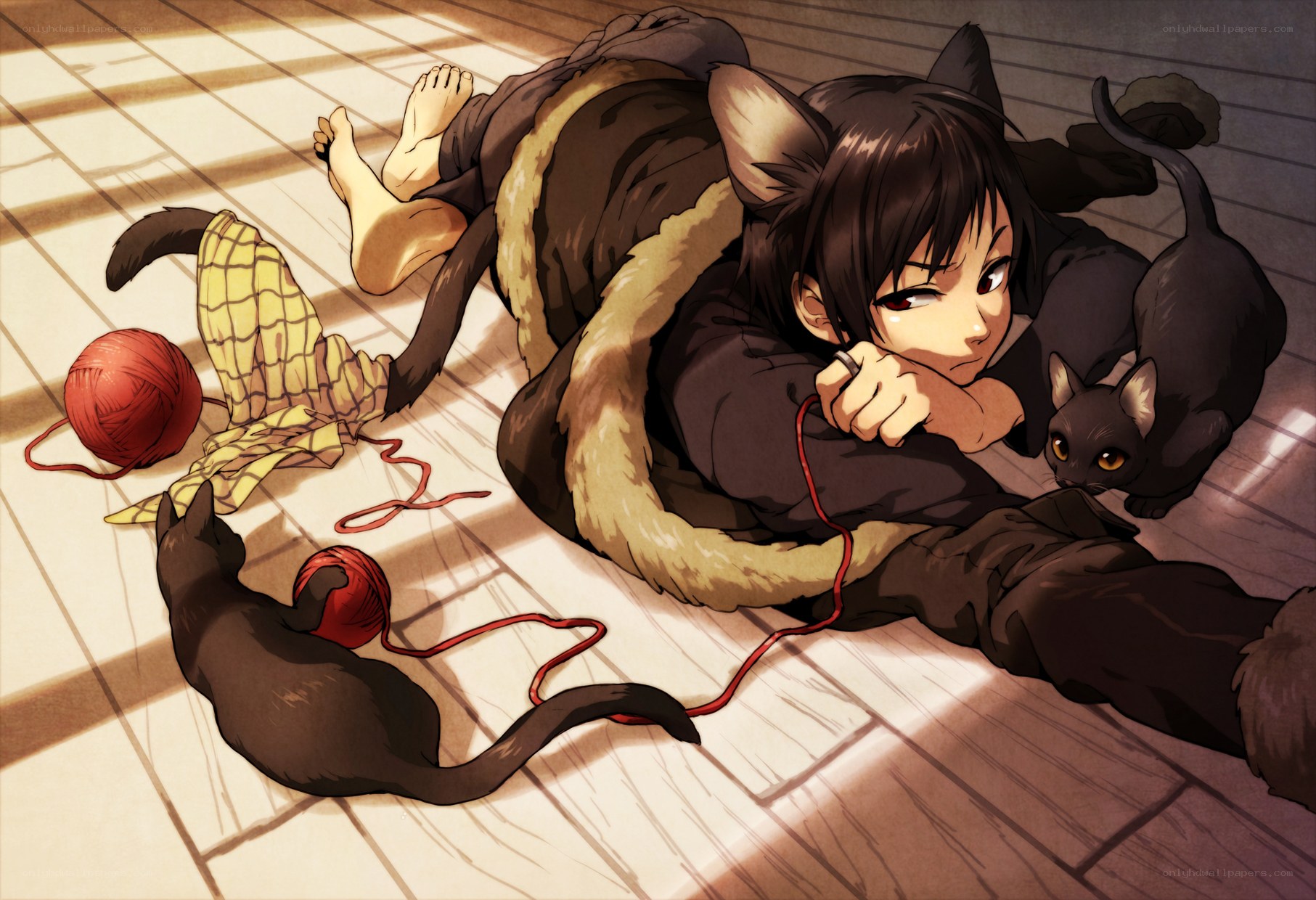 cat-eared person with cats