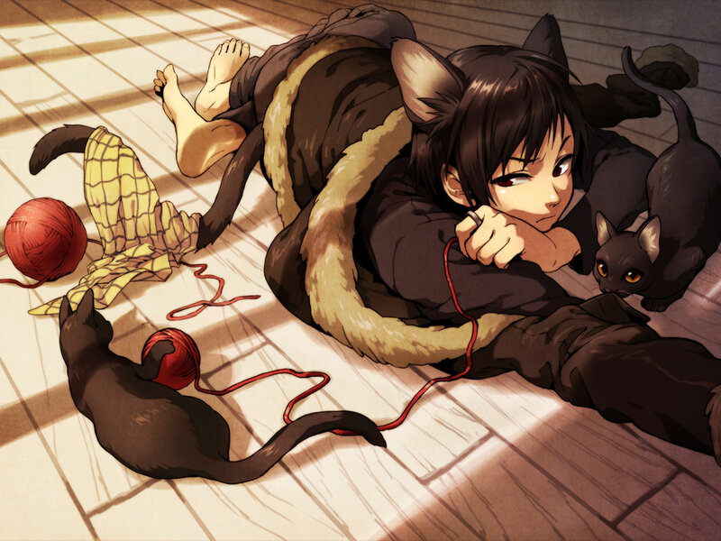 Cat-eared Person with Cats — Brown, Calm