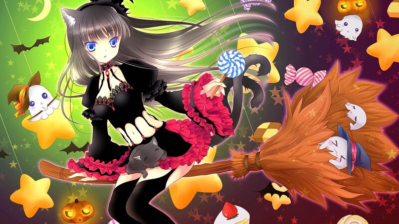 Cat-eared Witch on Broom