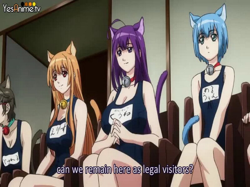 Cat-eared Women in Uniforms