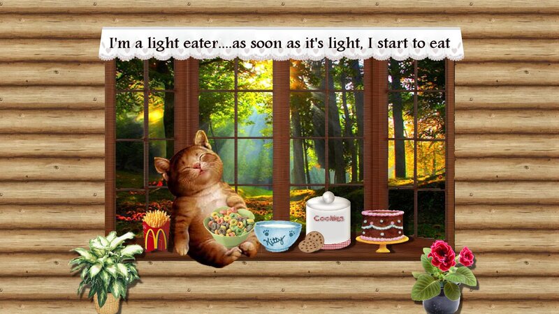 Cat Eating Cereal