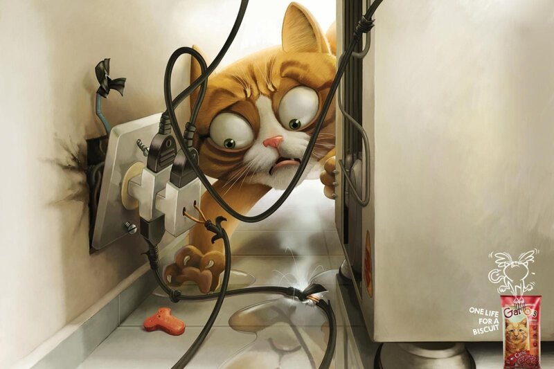 cat electrocuted by wires