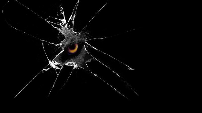Cat Eye Through Broken Glass
