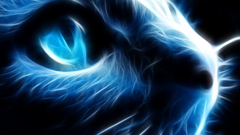 Cat Eye with Blue Glow