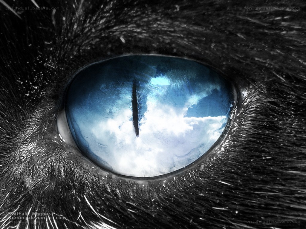 cat eye with sky reflection