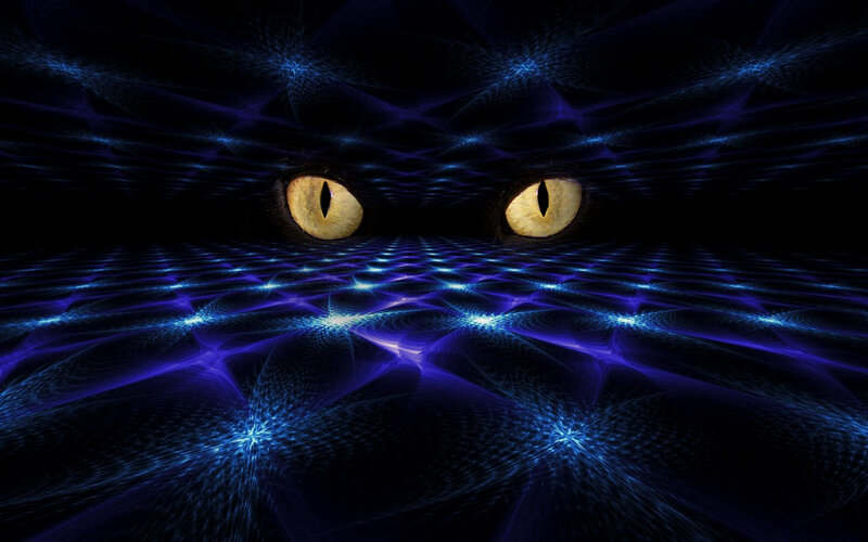Cat Eyes in Dark