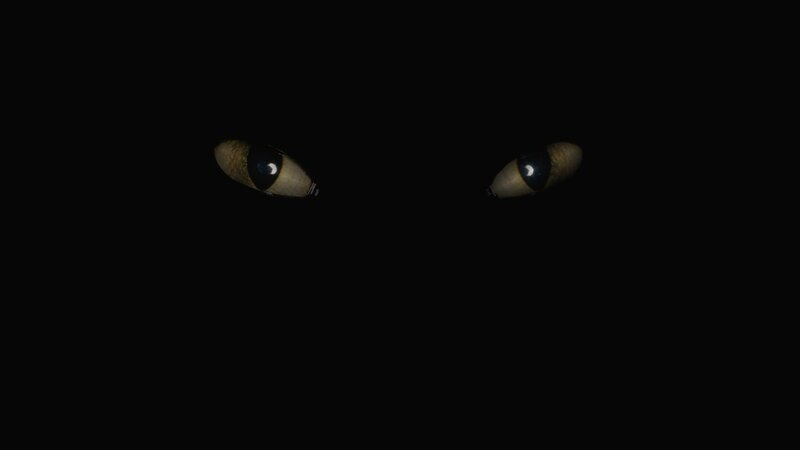 Cat Eyes in Darkness — Black, Mysterious, Night, Photograph, Yellow