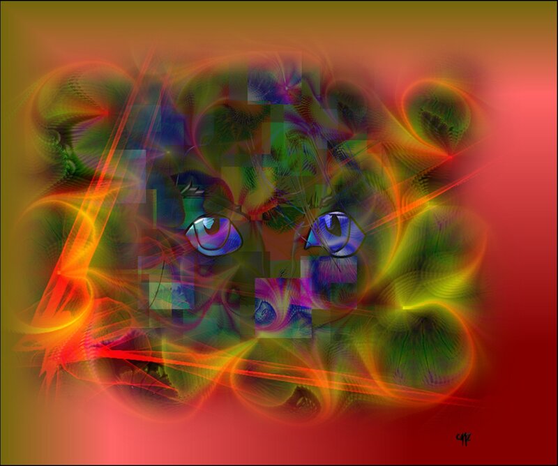 Cat Eyes in Fractal
