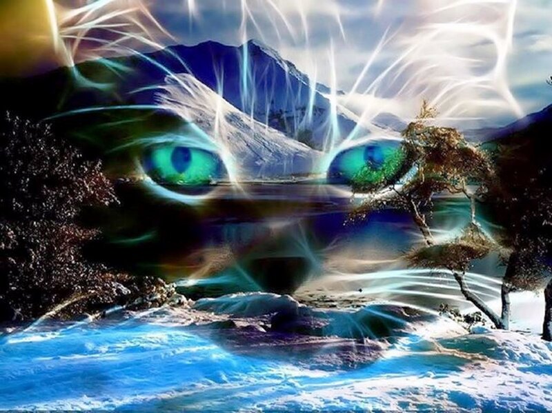 Cat Eyes in Landscape — Blue