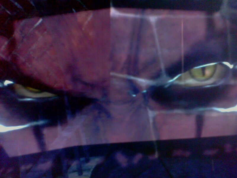 Cat Eyes on Wall