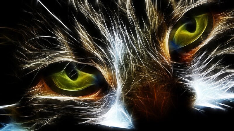 Cat Eyes with Glowing Fur