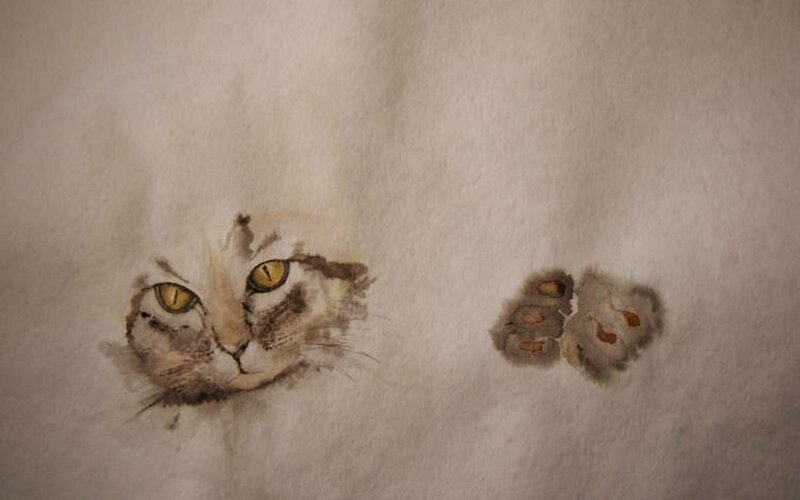 Cat Face and Paw Print