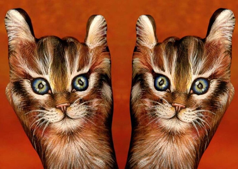 cat face hand paintings