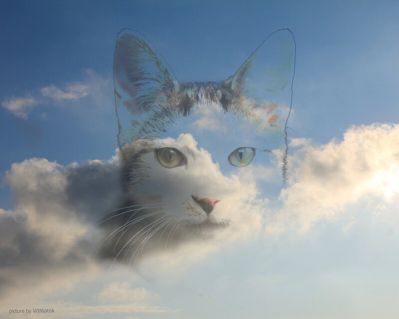 Cat Face in Clouds