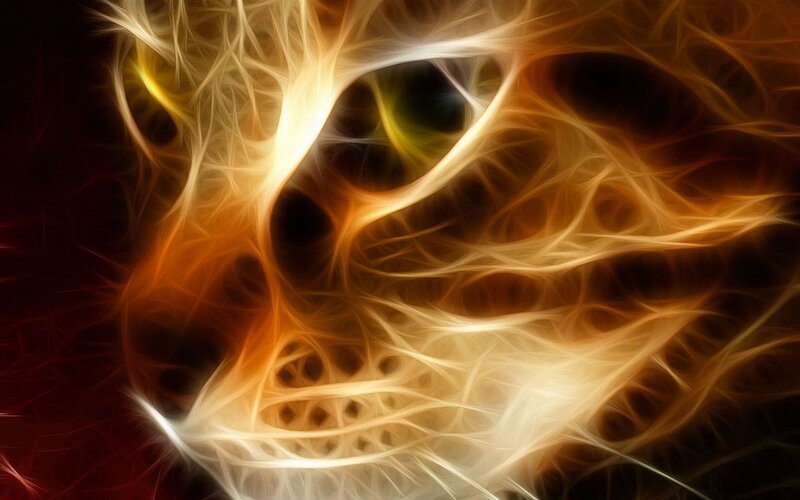 Cat Face in Flames — Orange