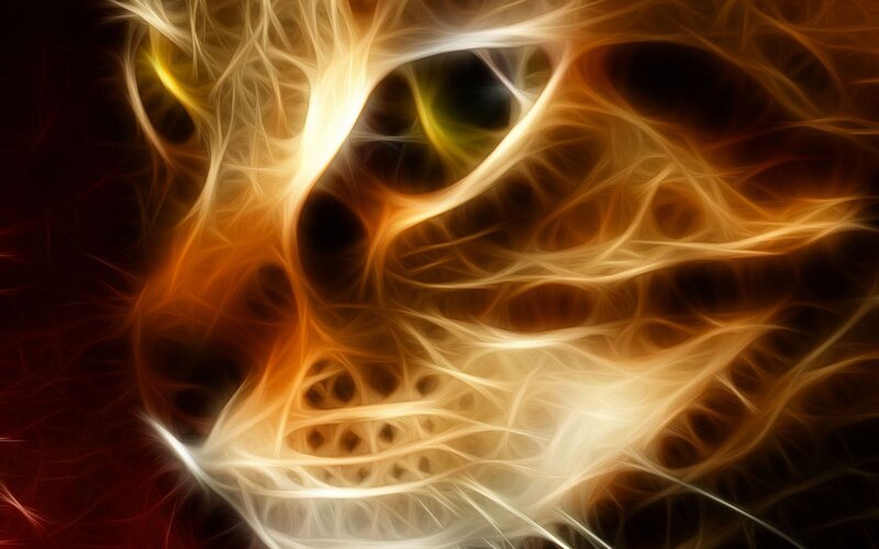 Cat Face in Flames