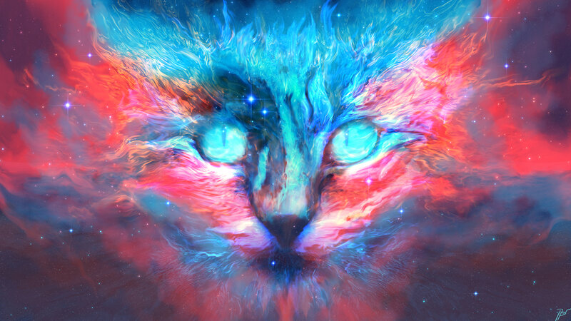 Cat Face in Nebula