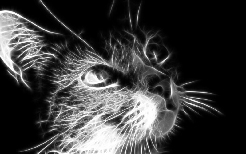 Cat Face in Neon Style