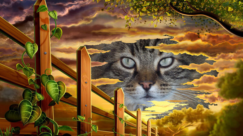 Cat Face in Sky