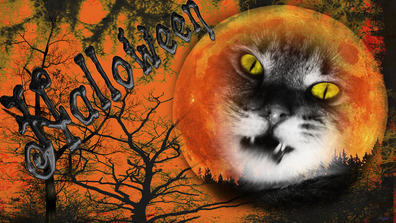 Cat Face on Moon