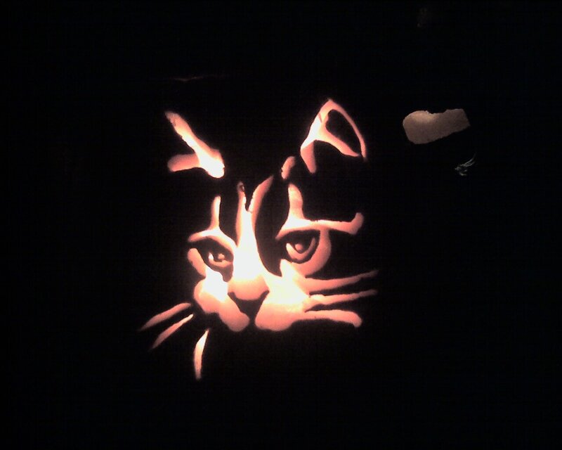 cat face pumpkin carving