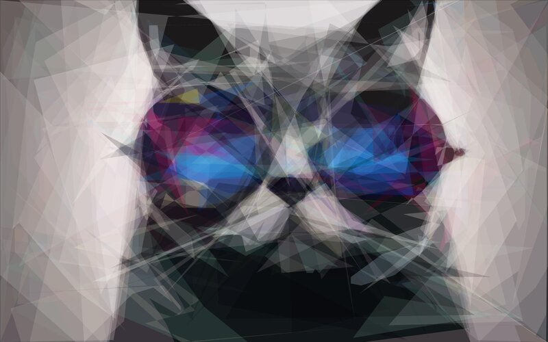 Cat Face