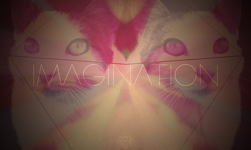 Cat Face with Geometric Overlay