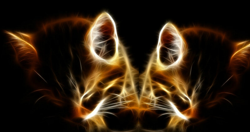Cat Face with Glowing Effect