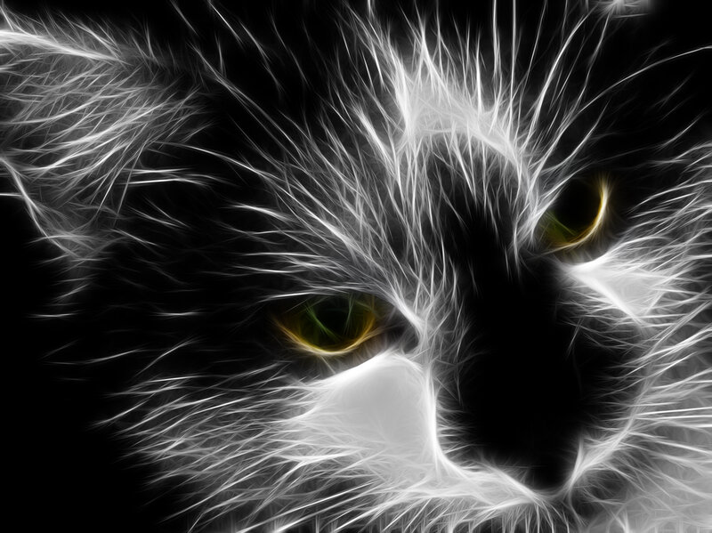 Cat Face with Glowing Eyes — Black